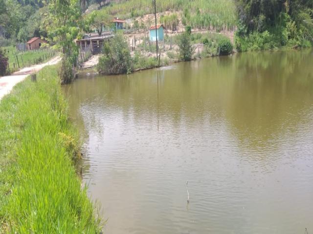 Venda em Rodovia Amparo / Morungaba - Amparo