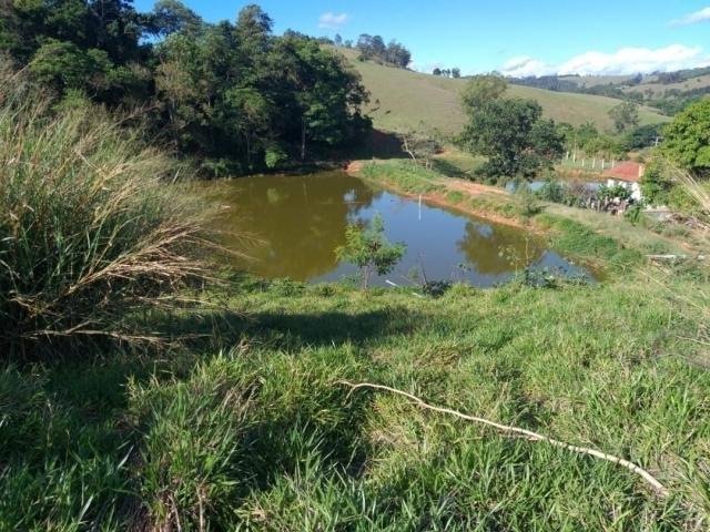 #1904 - Fazenda para Venda em Pinhalzinho - SP - 3