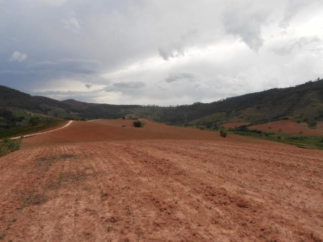 Fazenda para Venda em Serra Negra - 5