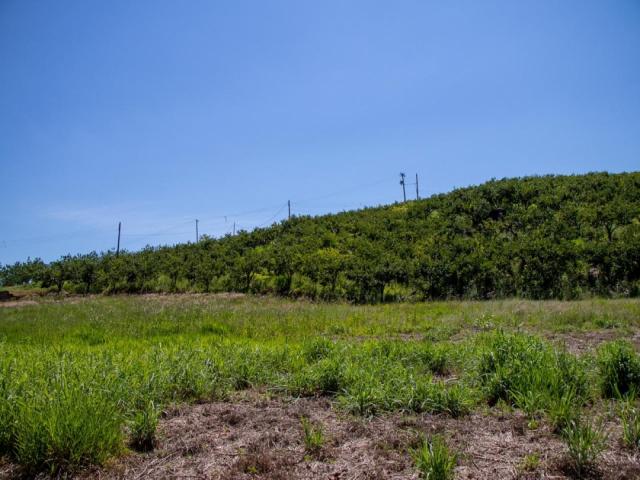 Sítio para Venda em Morungaba - 4