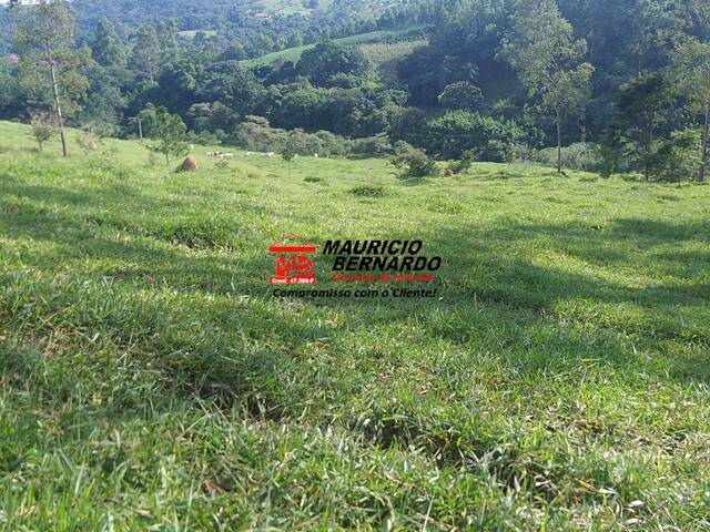 Fazenda para Venda em Amparo - 4