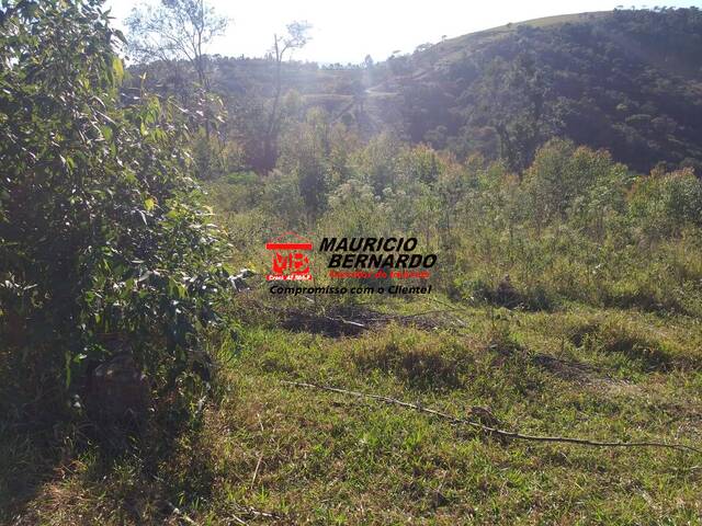 Sítio para Venda em Amparo - 5