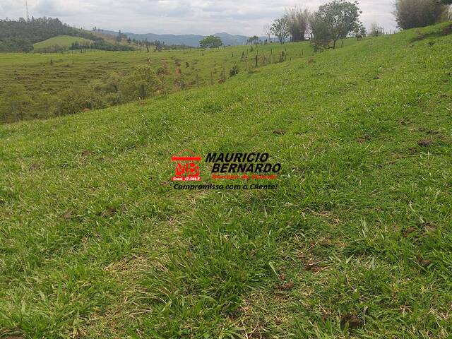 Fazenda para Venda em Amparo - 5