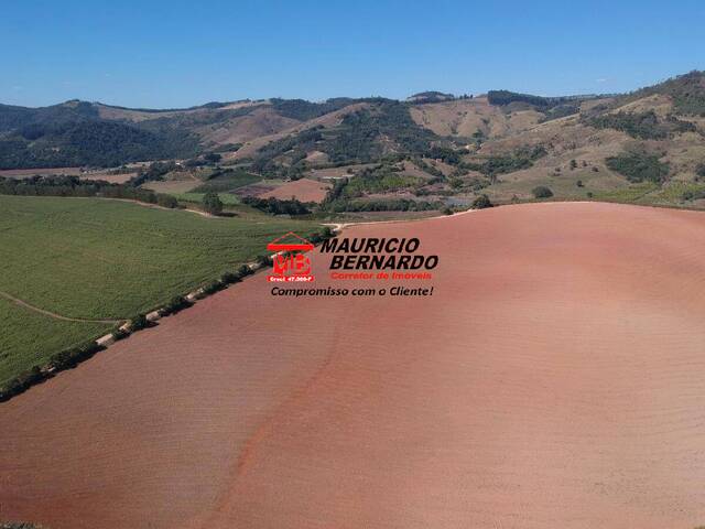 #1907 - Fazenda para Venda em Serra Negra - SP