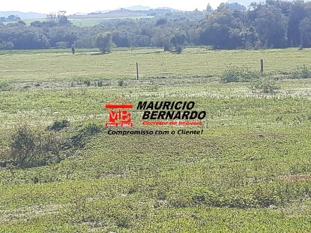 Fazenda para Venda em Santa Rita do Sapucaí - 4