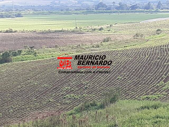 Fazenda para Venda em Santa Rita do Sapucaí - 5