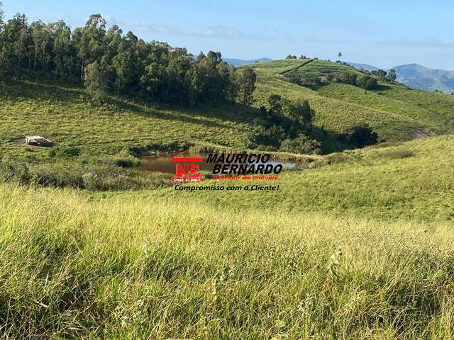 Fazenda para Venda em Jacutinga - 4
