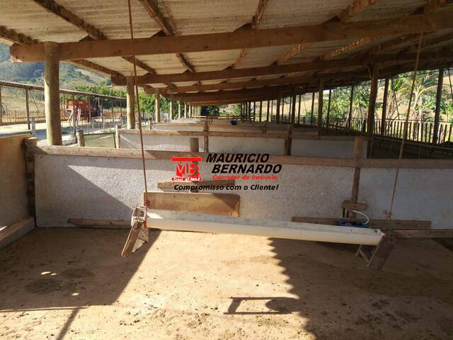 Sítio para Venda em Amparo - 5