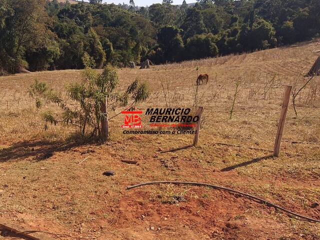 Sítio para Venda em Itatiba - 4