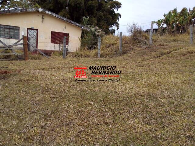 Sítio para Venda em Socorro - 4