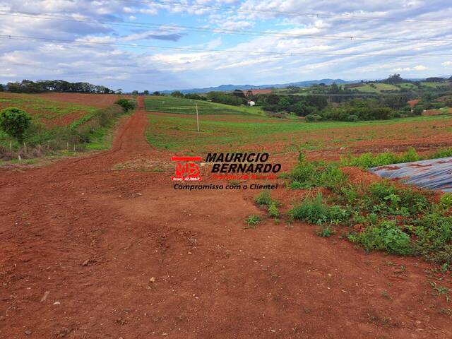 Sítio para Venda em Morungaba - 5