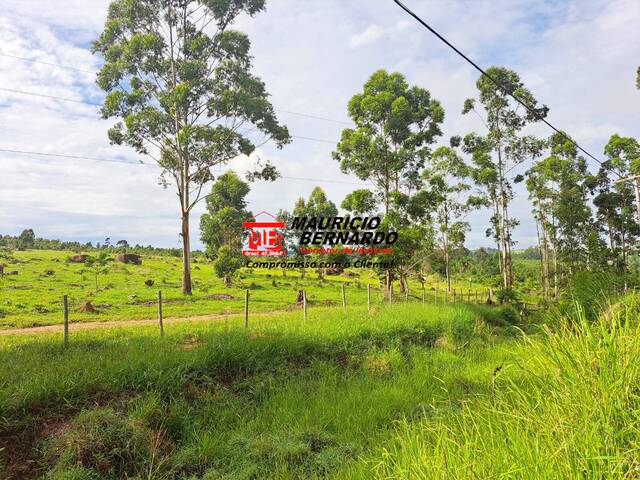 #2005 - Fazenda para Venda em Campinas - SP - 2