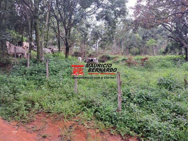Fazenda para Venda em Campinas - 4