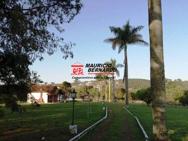 Sítio para Venda em Itatiba - 4