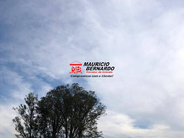 Sítio para Venda em Amparo - 5