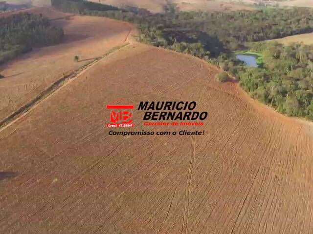 Sítio para Venda em Tuiuti - 5