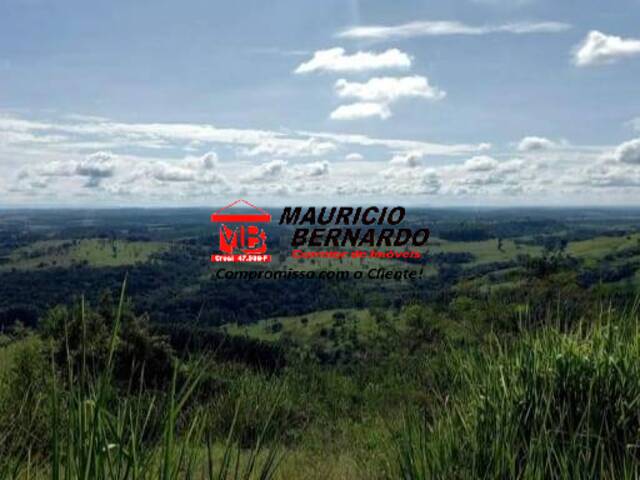 Fazenda para Venda em Munhoz - 5
