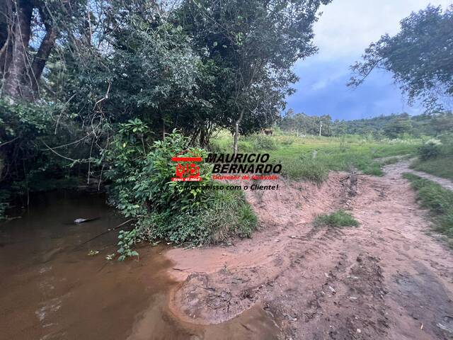 Sítio para Venda em Amparo - 5
