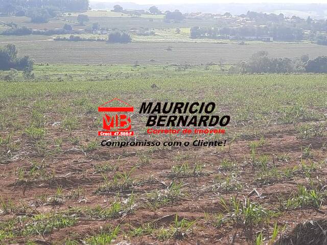 #2026 - Fazenda para Venda em Sorocaba - SP - 1