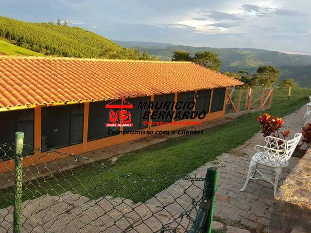 Haras para Venda em Pedreira - 5