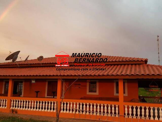 Haras para Venda em Pedreira - 4