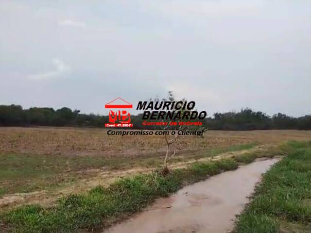 Sítio para Venda em Angatuba - 5