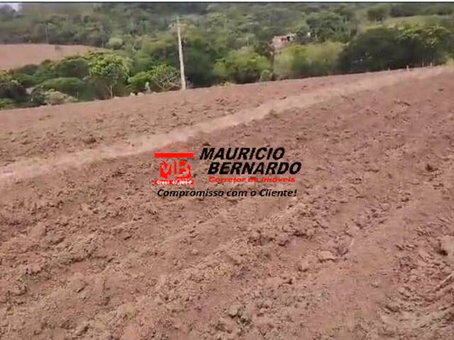 Sítio para Venda em Angatuba - 4