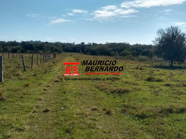 Sítio para Venda em Angatuba - 4