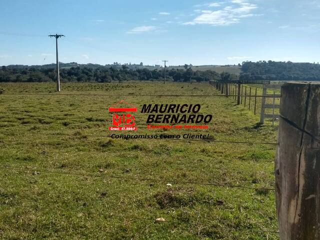 Sítio para Venda em Angatuba - 5