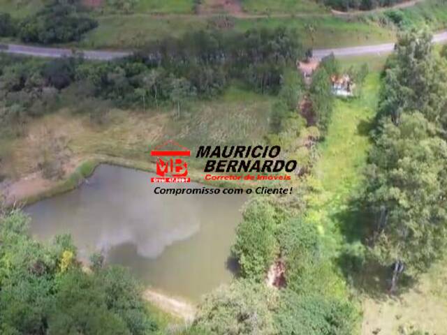 Fazenda para Venda em Amparo - 4