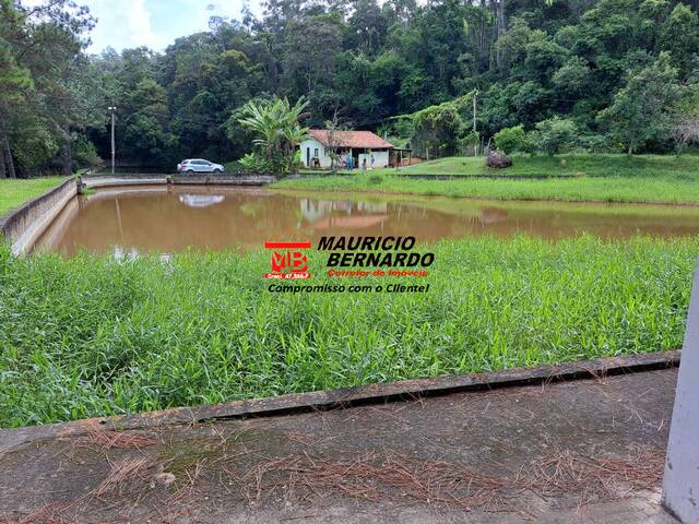 Sítio para Venda em Amparo - 5