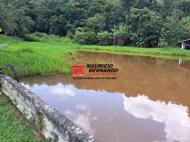 Sítio para Venda em Amparo - 4