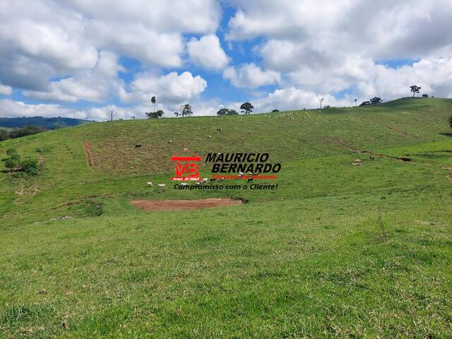 Sítio para Venda em Socorro - 5