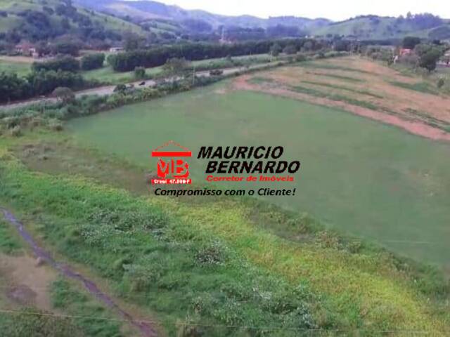 Haras para Venda em Tuiuti - 4