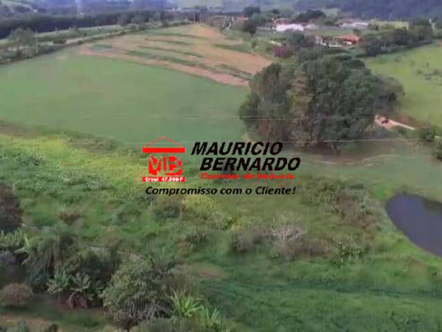 Haras para Venda em Tuiuti - 5
