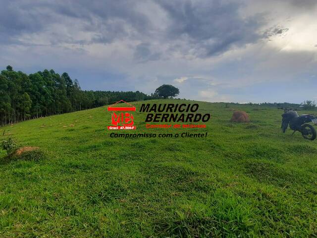 Sítio para Venda em Itatiba - 4