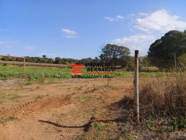 Terreno Com. / Industrial para Venda em Atibaia - 4