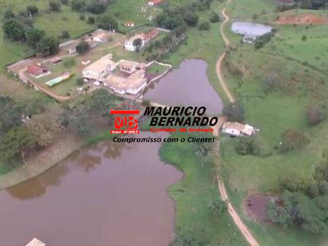 Fazenda para Venda em Amparo - 5