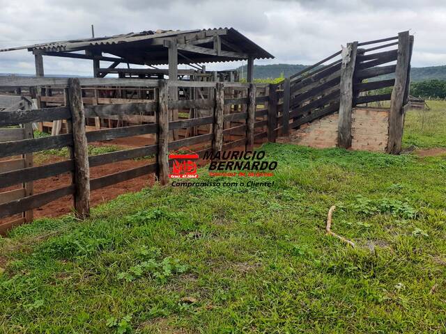 Fazenda para Venda em Botelhos - 5