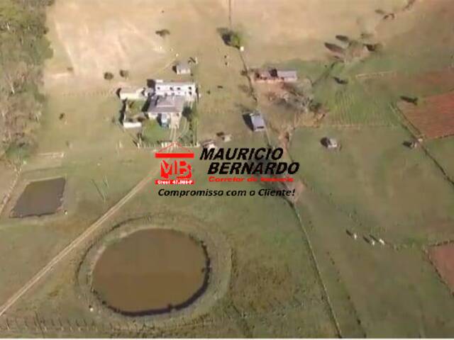 Sítio para Venda em Monte Alegre do Sul - 4
