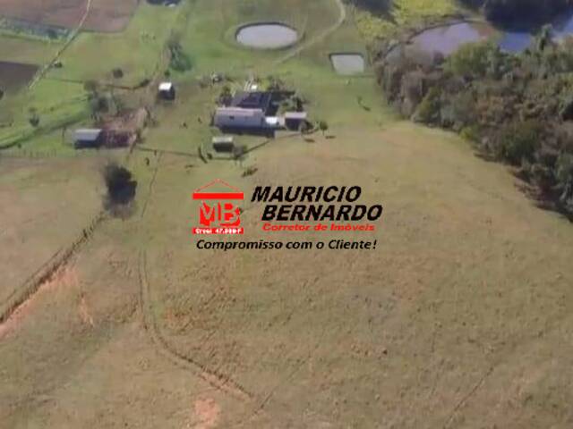 Sítio para Venda em Monte Alegre do Sul - 5