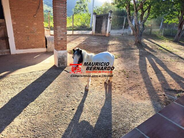 Haras para Venda em Morungaba - 4