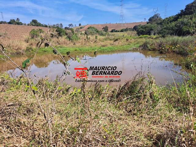 Fazenda para Venda em Bragança Paulista - 5
