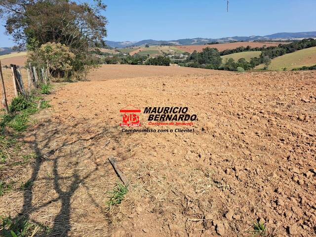 Sítio para Venda em Tuiuti - 4