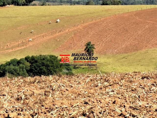 Sítio para Venda em Tuiuti - 5