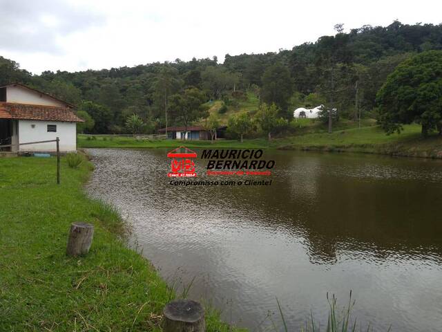 Sítio para Venda em Amparo - 4