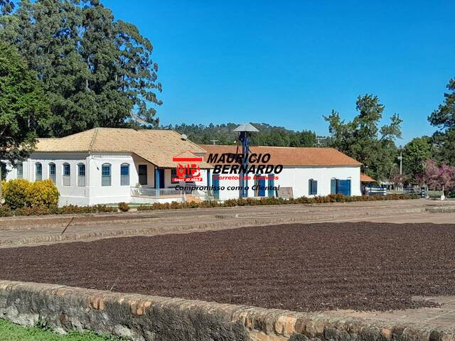 Fazenda para Venda em Amparo - 4