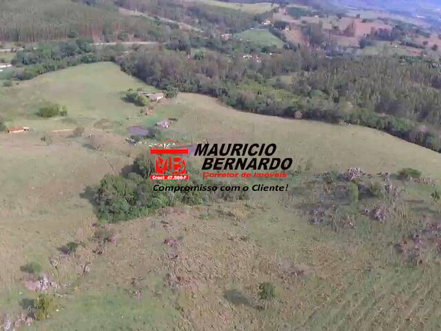 Sítio para Venda em Amparo - 4