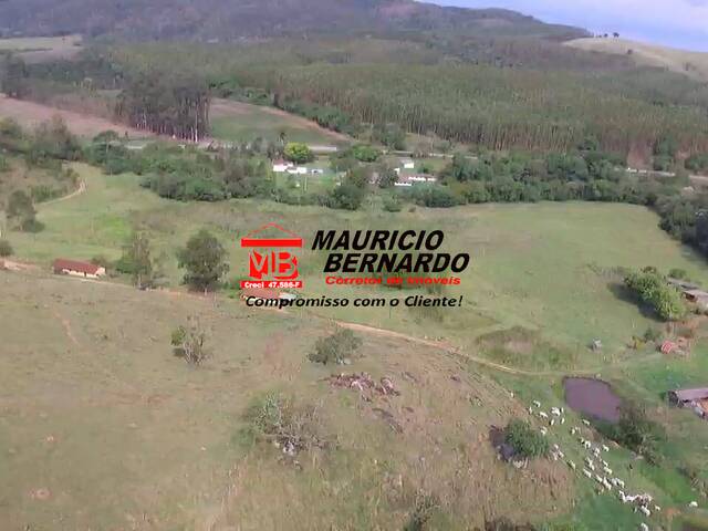 Sítio para Venda em Amparo - 5