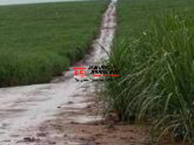 Fazenda para Venda em Itápolis - 5